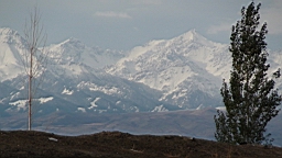 DSC00417.JPG