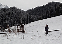 DSC00439.JPG