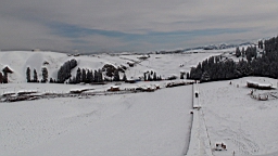 DSC00447.JPG
