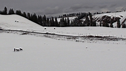 DSC00451.JPG