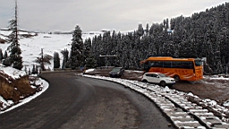DSC00462.JPG