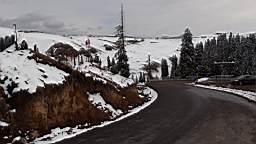 DSC00463.JPG