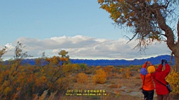 DSC00483.JPG