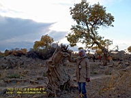 DSC00490.JPG