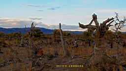 DSC00518.JPG