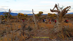 DSC00519.JPG