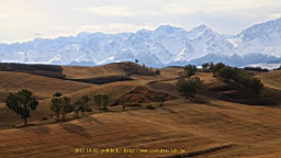 IMG_3931.JPG