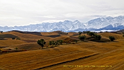 IMG_3935.JPG