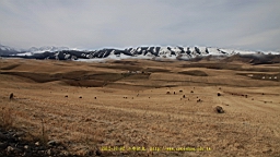 IMG_3942.JPG