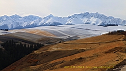 IMG_3950.JPG