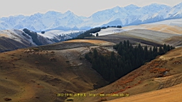IMG_3951.JPG