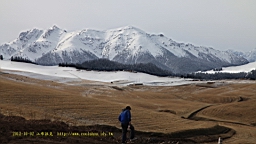 IMG_3955.JPG