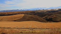 IMG_3957.JPG
