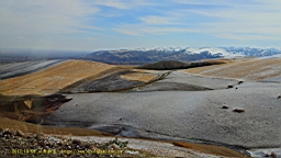 IMG_3964.JPG
