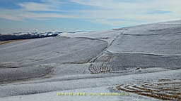 IMG_3966.JPG
