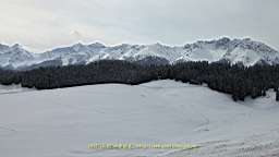 IMG_3973.JPG