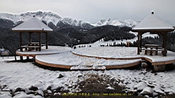 IMG_3976.JPG