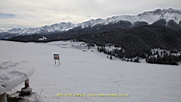 IMG_3978.JPG