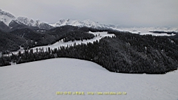 IMG_3980.JPG