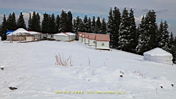 IMG_3985.JPG