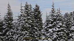 IMG_3987.JPG