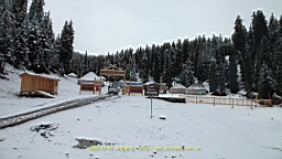 IMG_3992.JPG