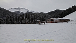 IMG_3995.JPG