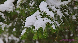 IMG_4005.JPG