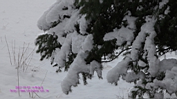 IMG_4008.JPG