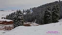 IMG_4016.JPG