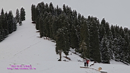 IMG_4017.JPG