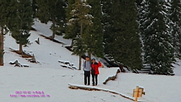 IMG_4017S.JPG