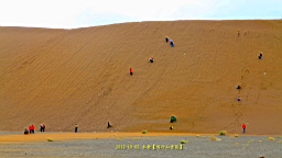 IMG_4033.JPG