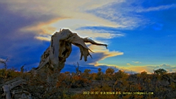 IMG_4055.JPG