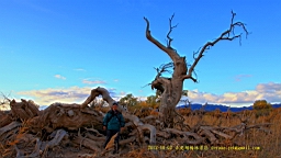 IMG_4060.JPG