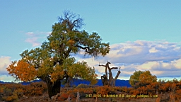 IMG_4064.JPG