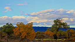 IMG_4067.JPG