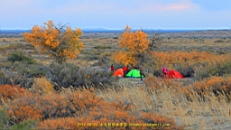 IMG_4085.JPG