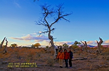 IMG_4086.JPG