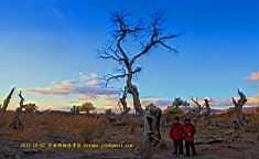 IMG_4090.JPG
