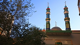 IMG_4224.JPG