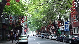 DSC00557.JPG