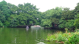 DSC00558.JPG