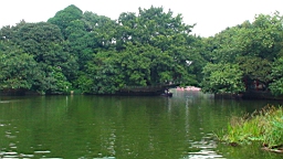 DSC00559.JPG
