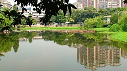 DSC00568.JPG