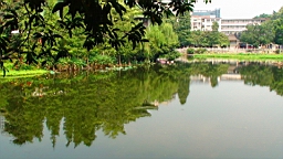 DSC00569.JPG
