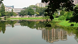 DSC00570.JPG
