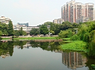 DSC00572.JPG