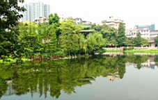 DSC00573.JPG