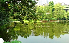 DSC00574.JPG